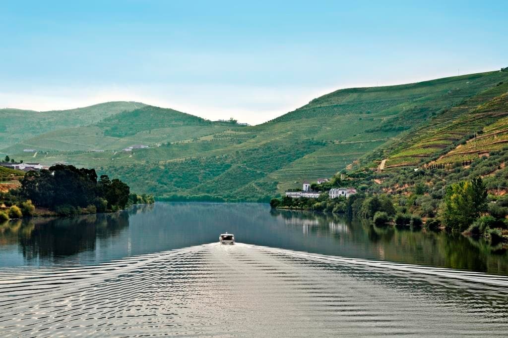 Douro Vinhateiro - 2h Passeio Exclusivo