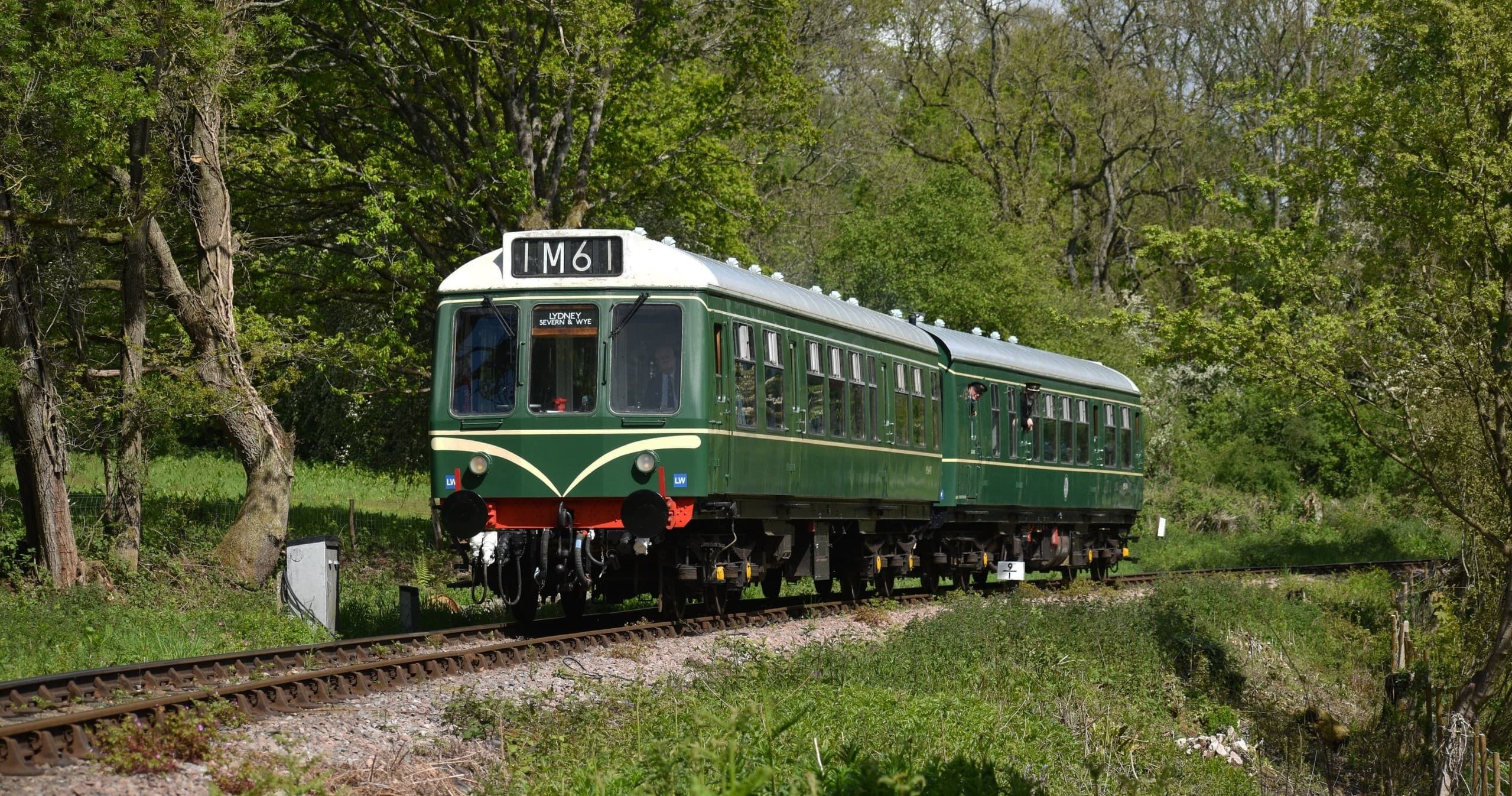 Forest Flyer 200