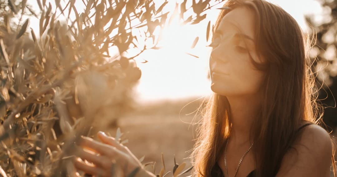 Adopt an Olive Tree Experience