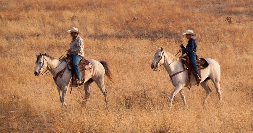 Horseback Ride - 1 Hour
