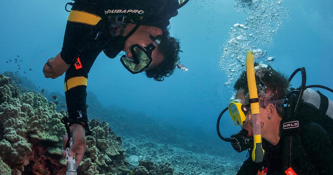 PADI Peak Performance Buoyancy