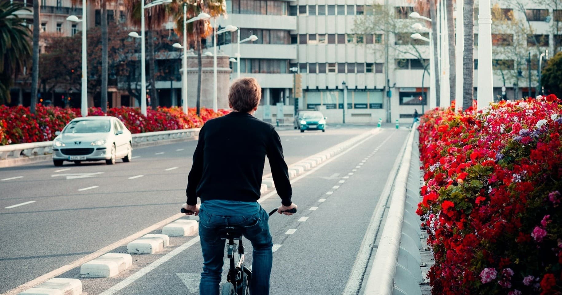 Bike Tour - City Center to Maritim Towns