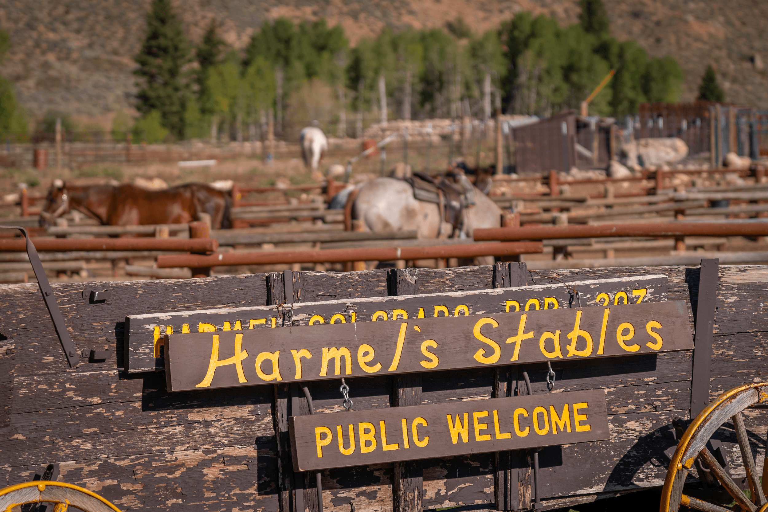 Horsemanship Lesson