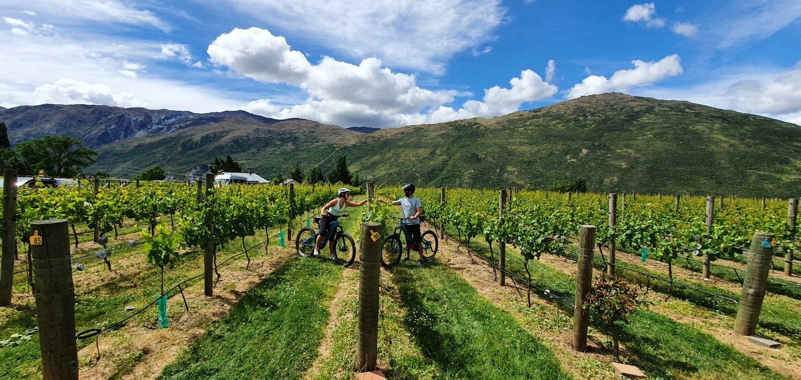 Ride To The Vines Guided eBike Tour