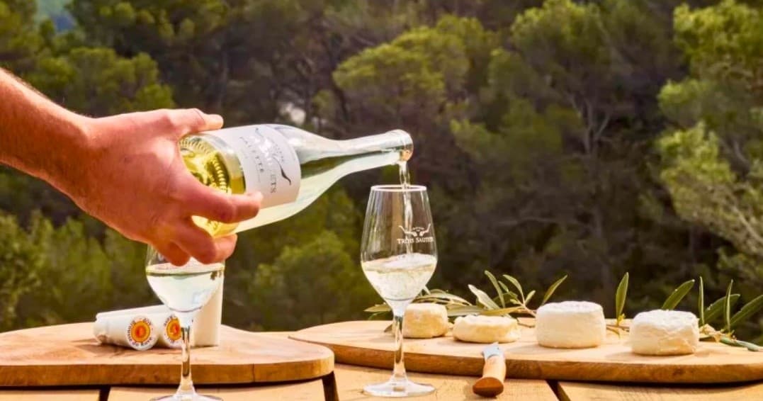 Provence Goat & Wine Day