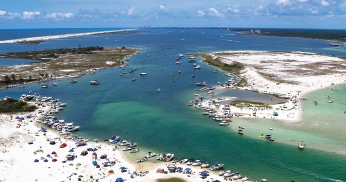 Fort McRee Sandbar Cruise