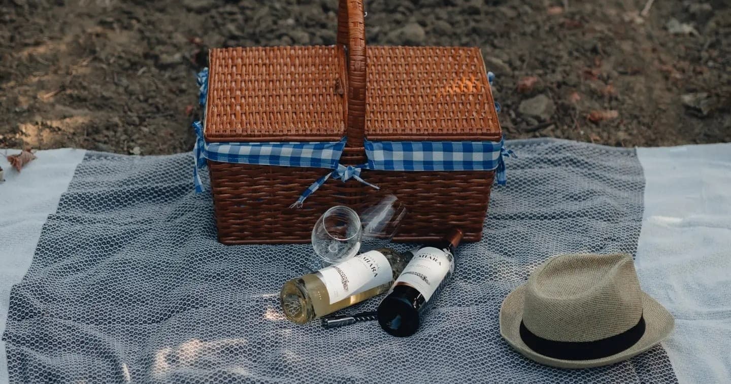 Picnic in the Vineyards