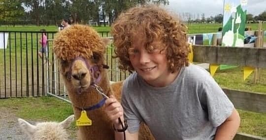 Walk-An-Alpaca Tour