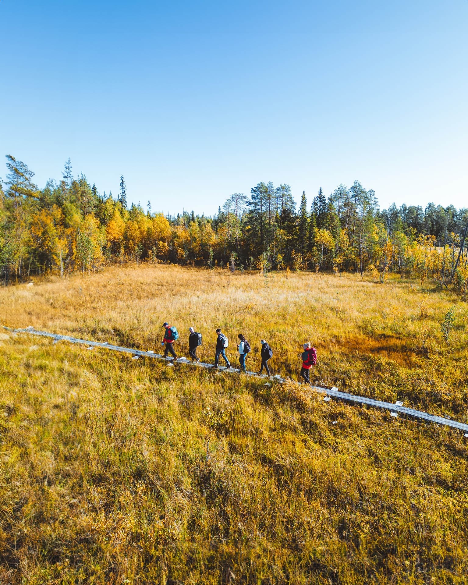 Trekking in the Heart of Nature