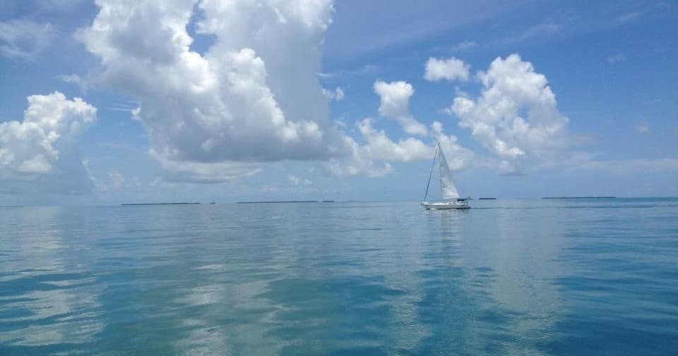 Half Day PM Charter