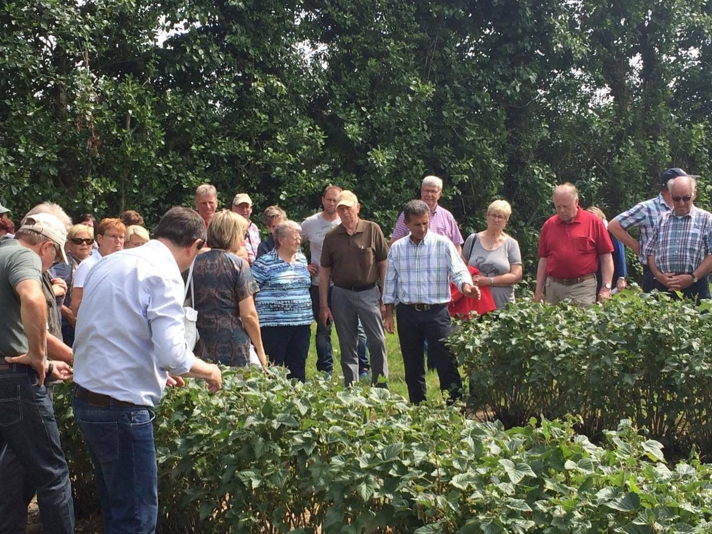 Blackcurrant & Horse Breeding Farm Private Tour Wexford
