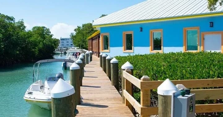 Dock and Dine Trips