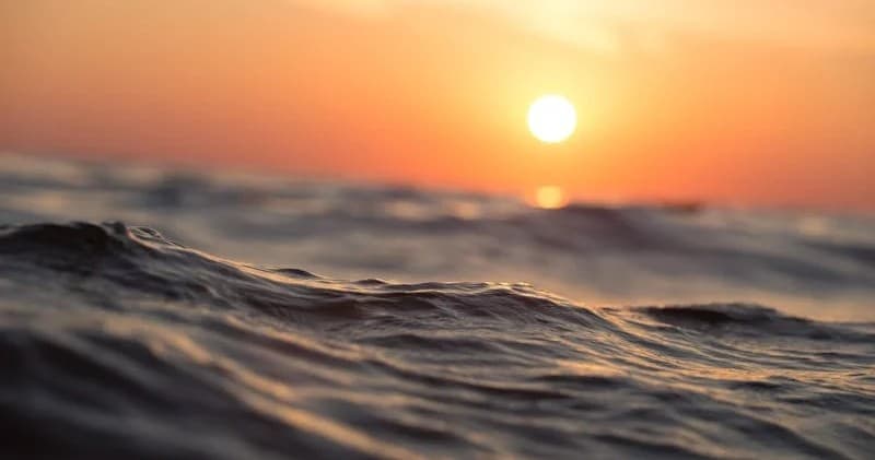 3-Hour Sunrise & Sunset Private Charter