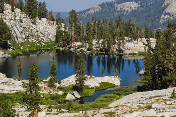 Sequoia / Kings Canyon Two Day Private Tour & Hike