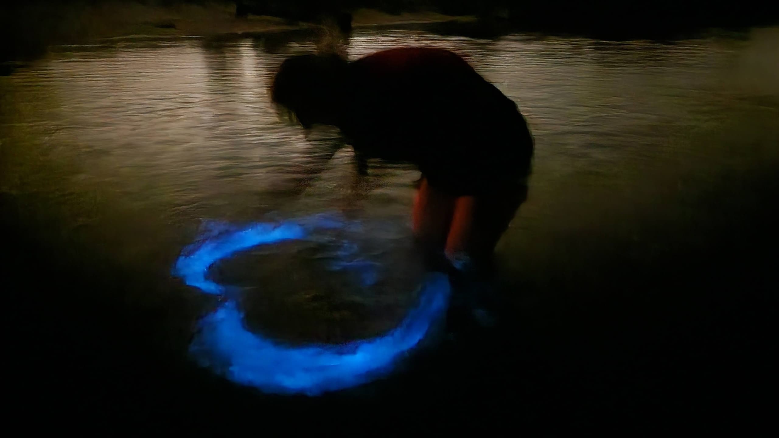 Bioluminescence Kayak Adventure