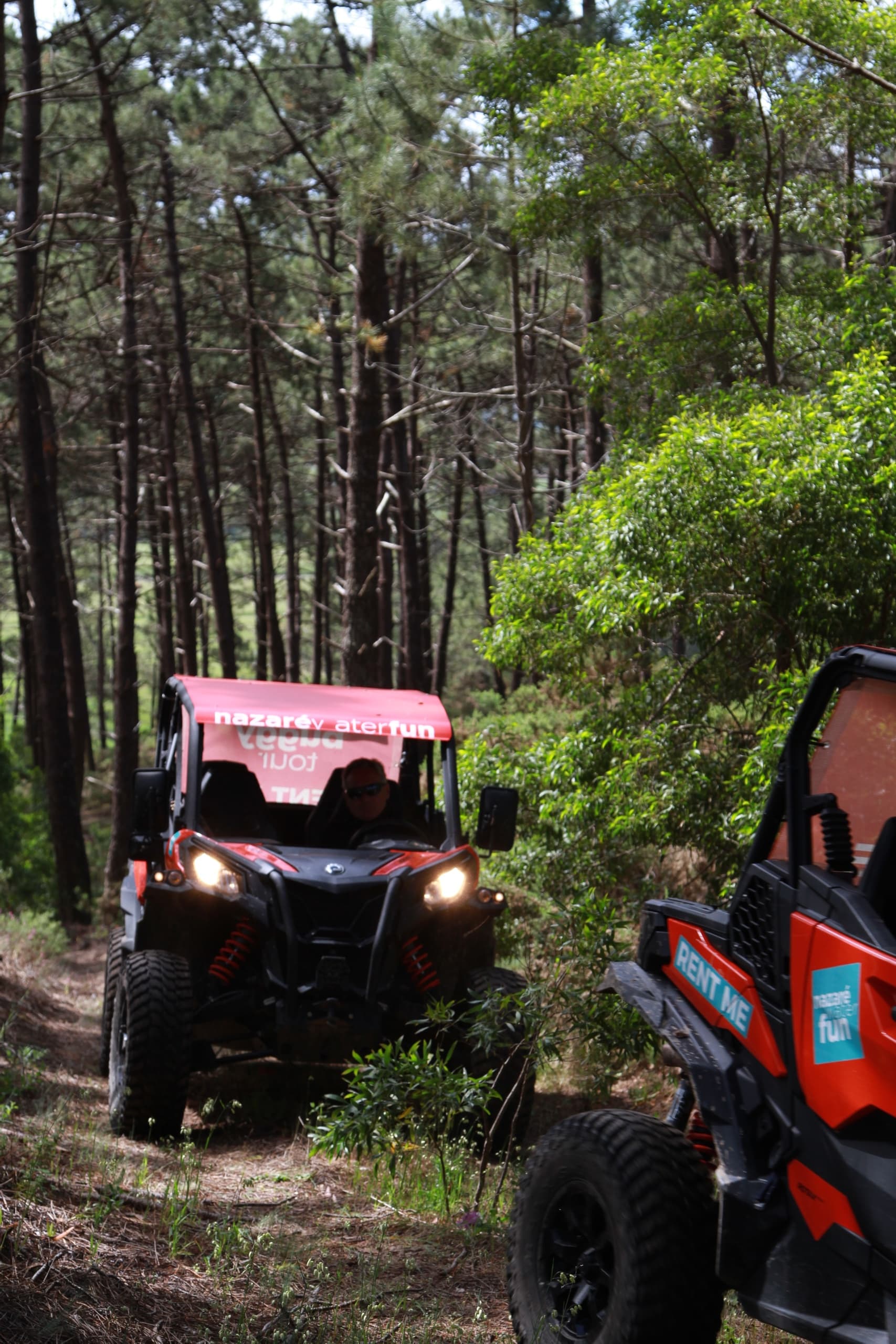 Pinhal Norte Buggy Tour