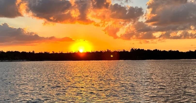 Mangrove and Sunset Excursion • Private
