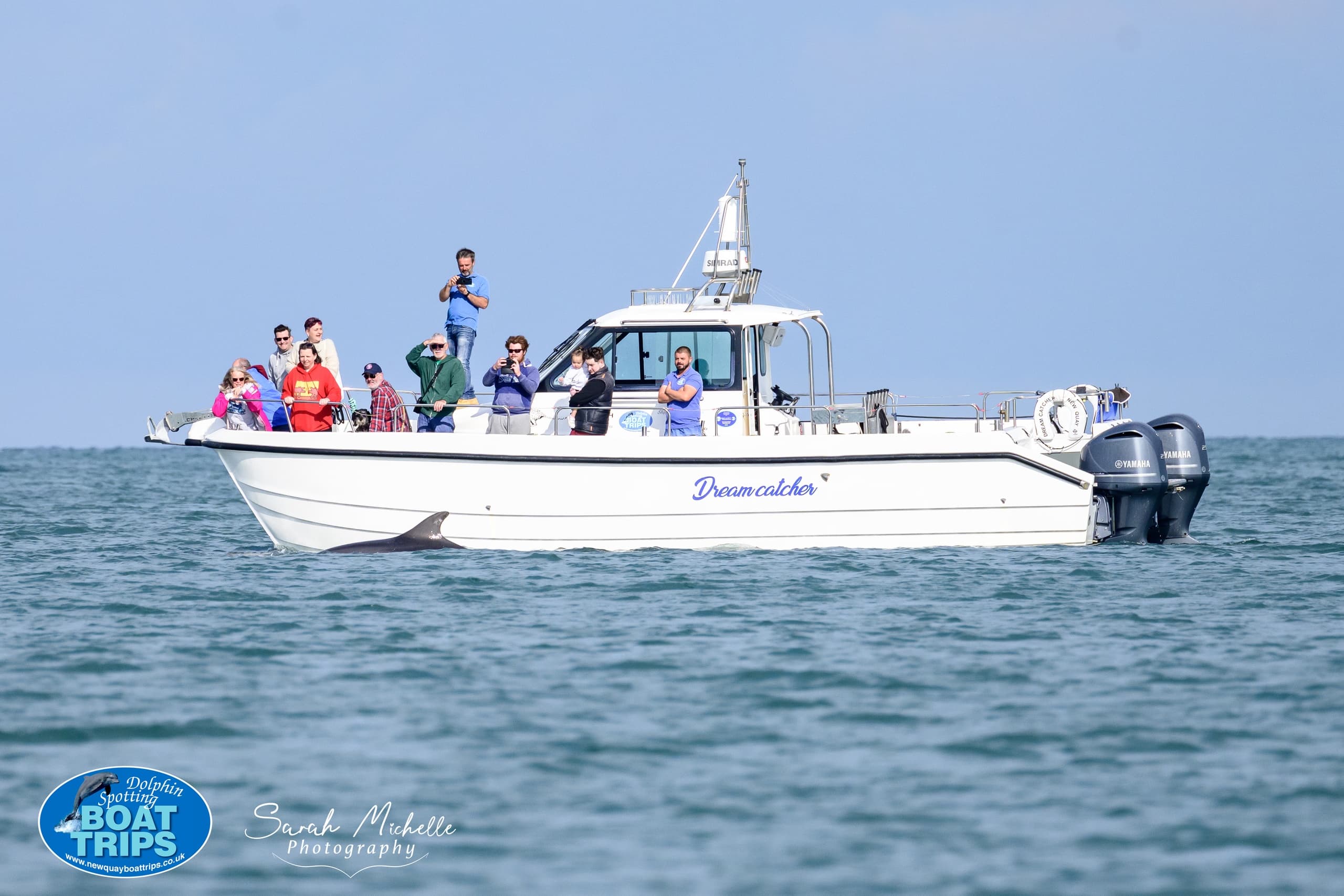 1 Hour Dolphin and Wildlife Spotting Trip on Dreamcatcher (12pax)