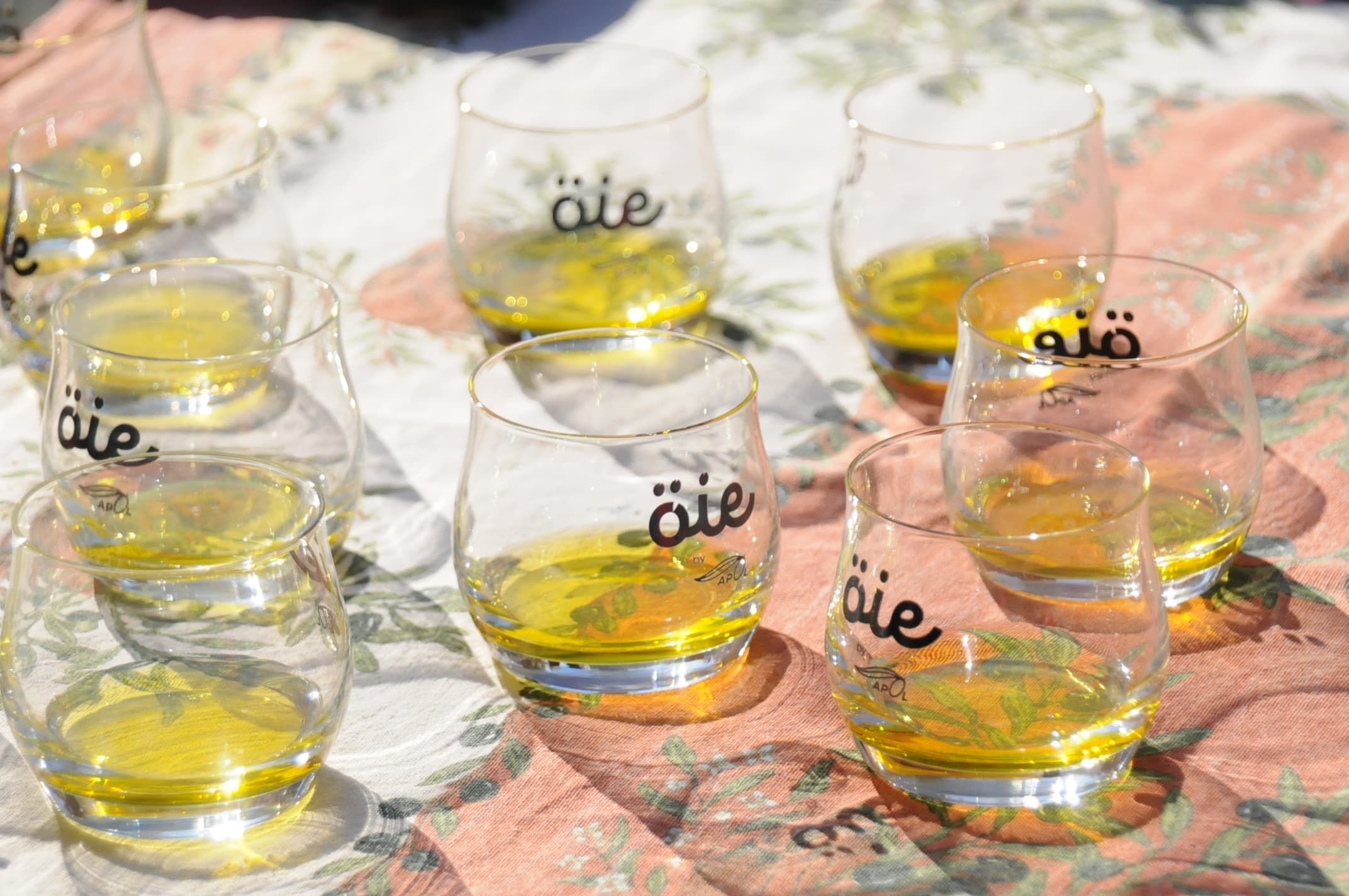 Farm tour Cinque Terre: oil, honey and wine production and tasting above Riomaggiore