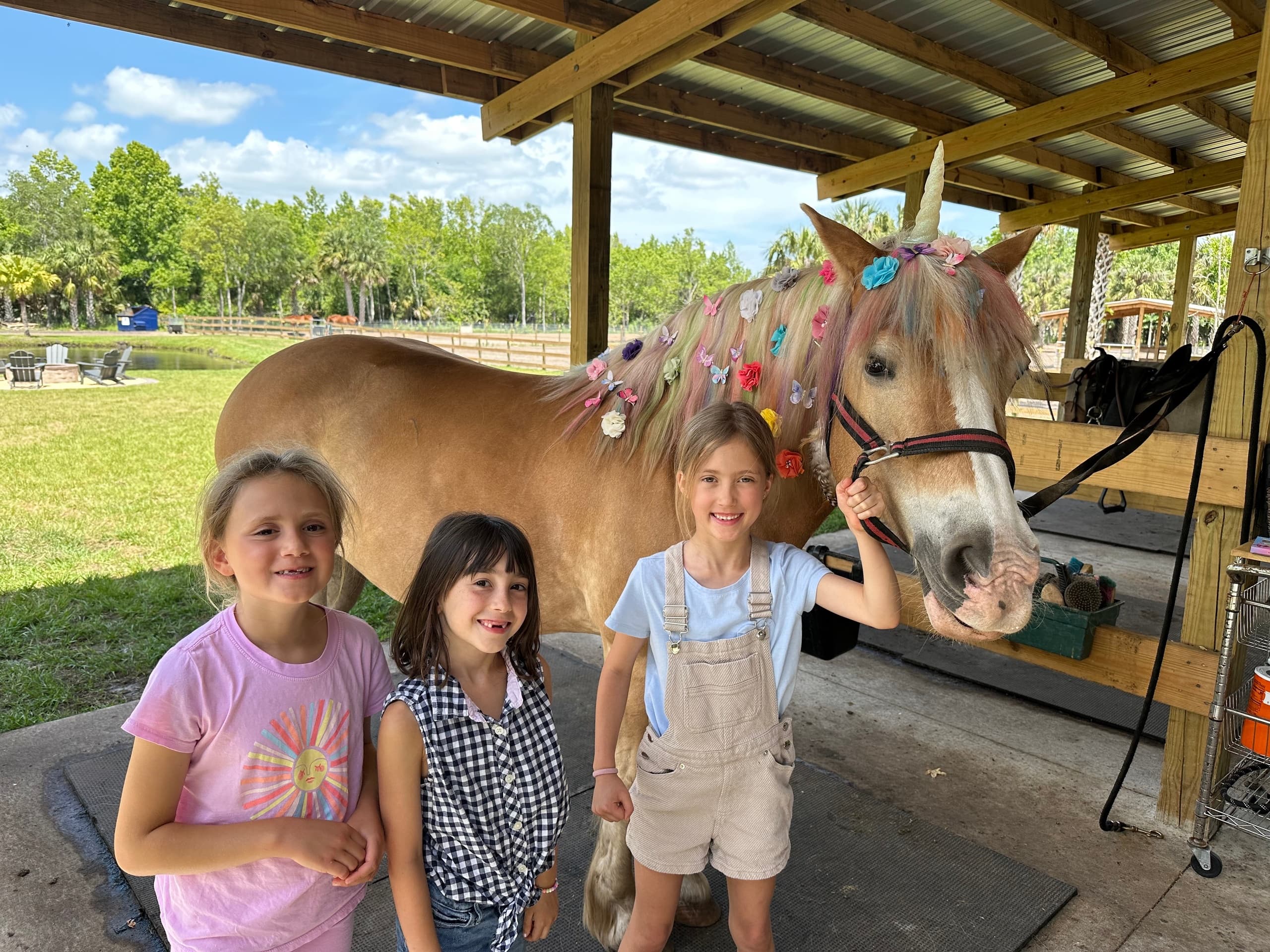 Kids Horse Experience