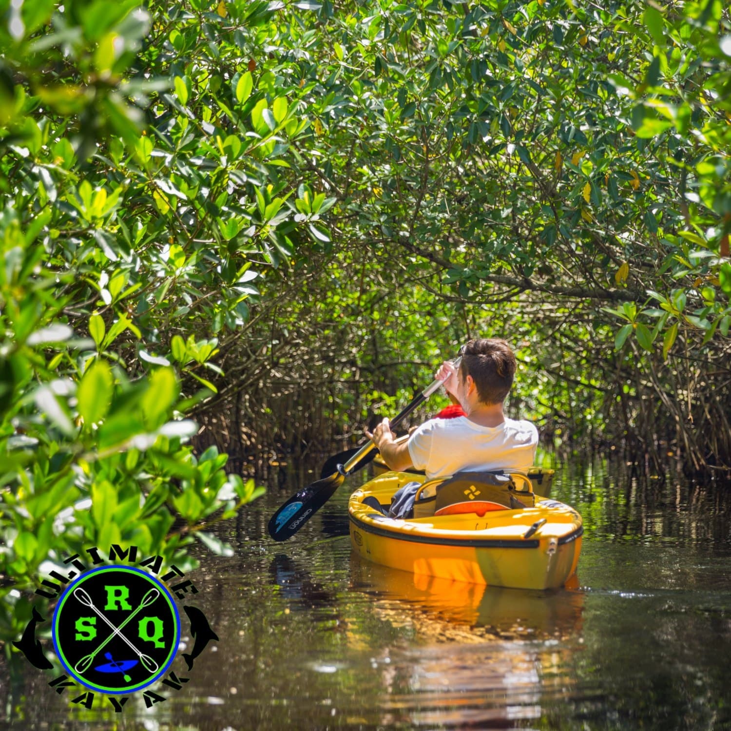 Famous Mangrove Tunnel and Hidden Beach Tour