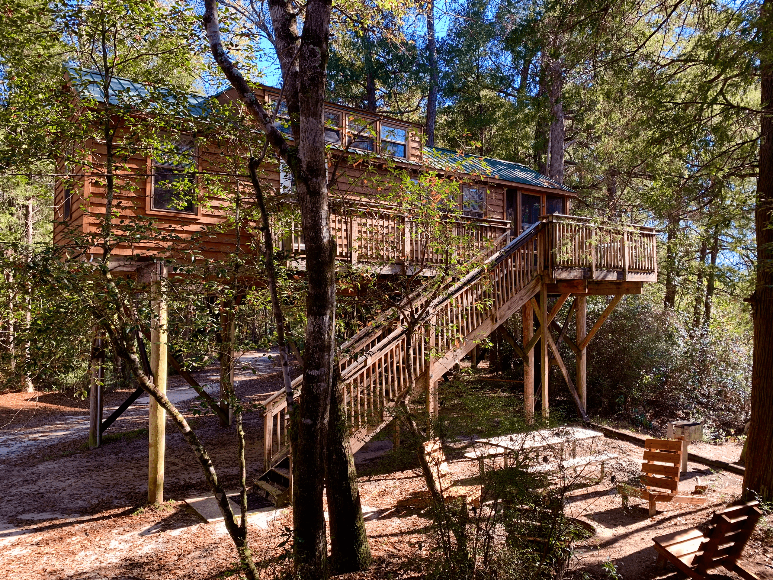Sarracenia Cabin