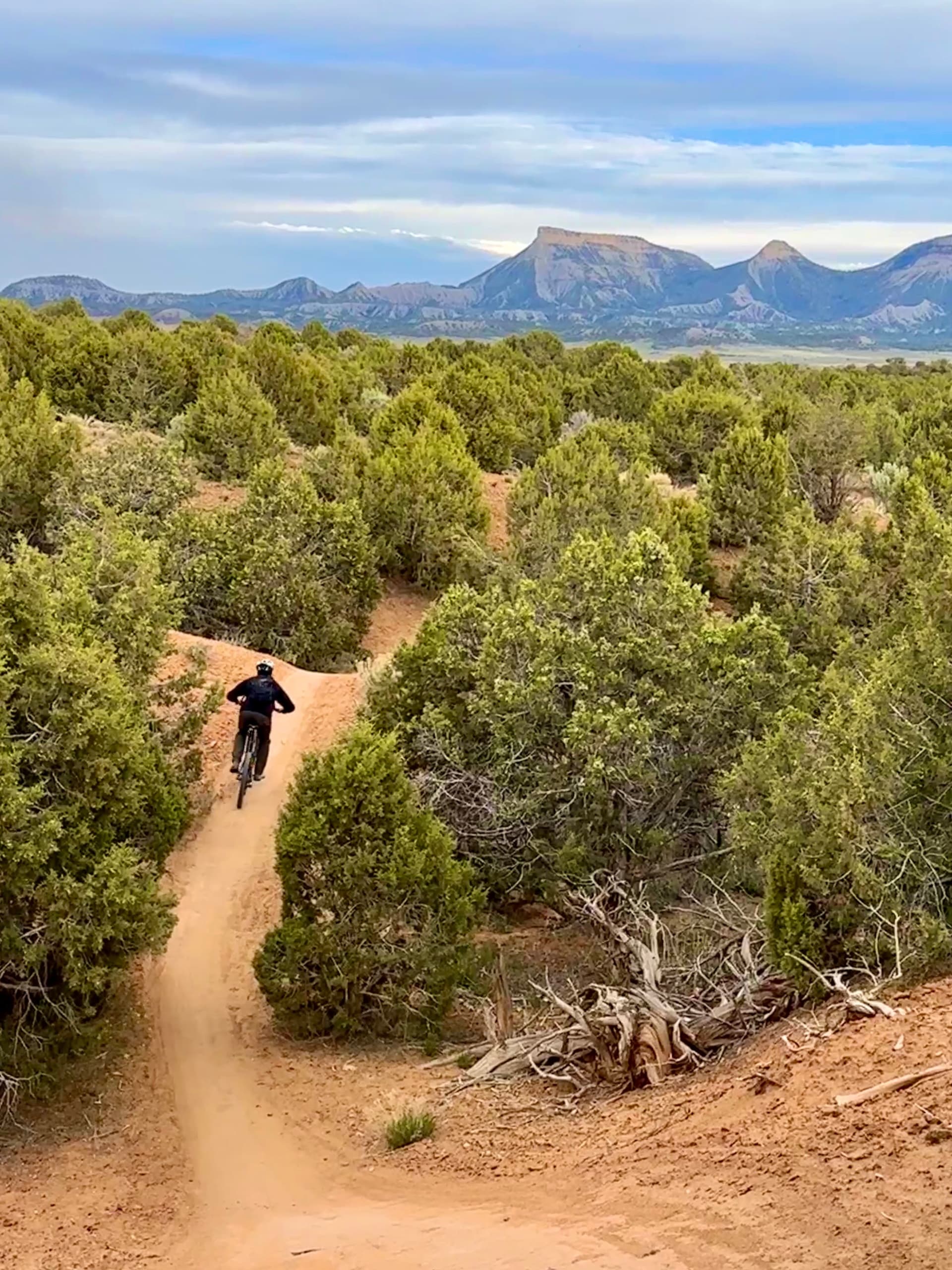 Phil's World Mountain Bike Tour: Mixed Group Tour
