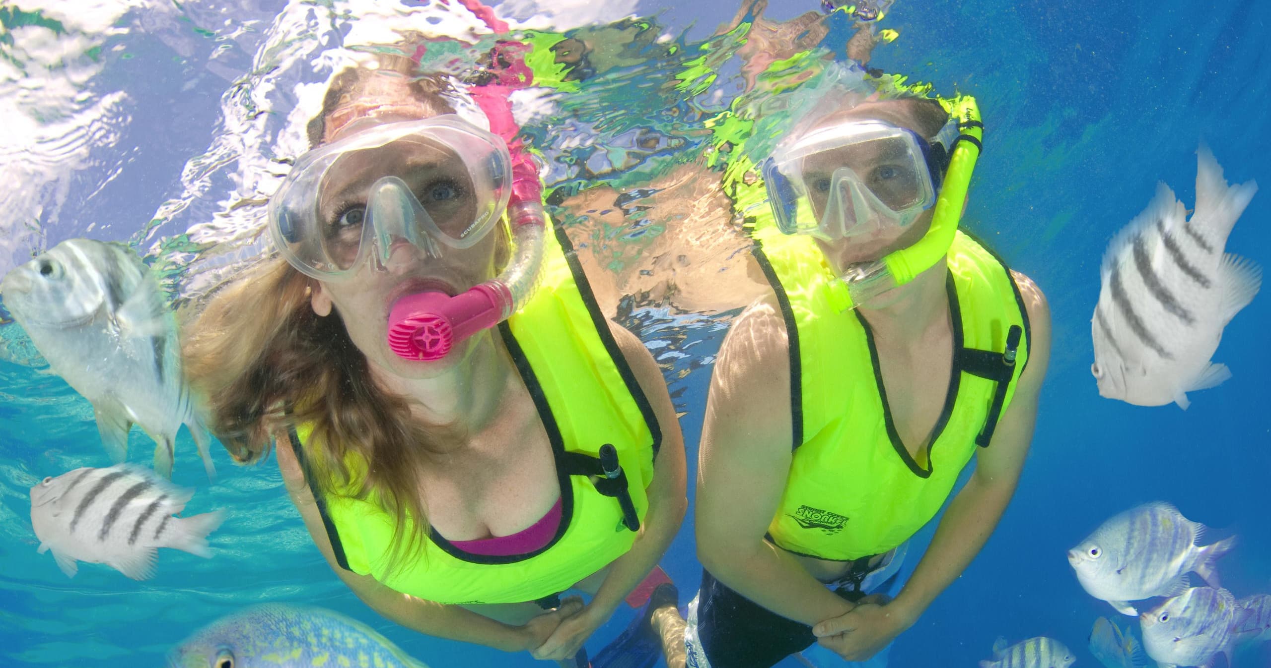 Guided Snorkeling Tour