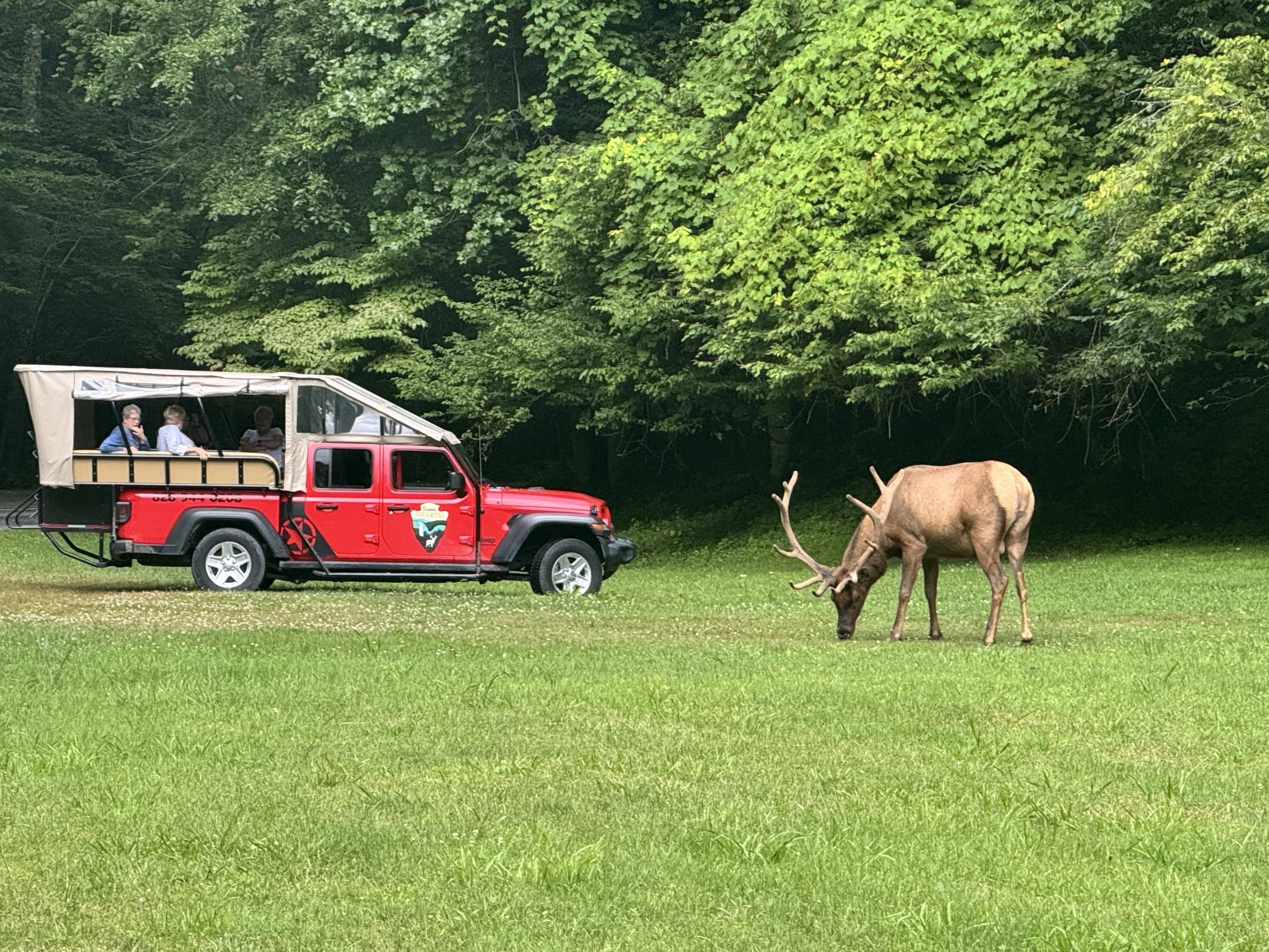Safari Jeep, Eco, Waterfall, Elk, Wilderness Adventure