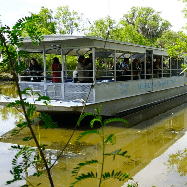 Swamp Tour by Tourboat - Pickup