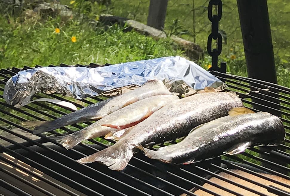 Fishing Equipment