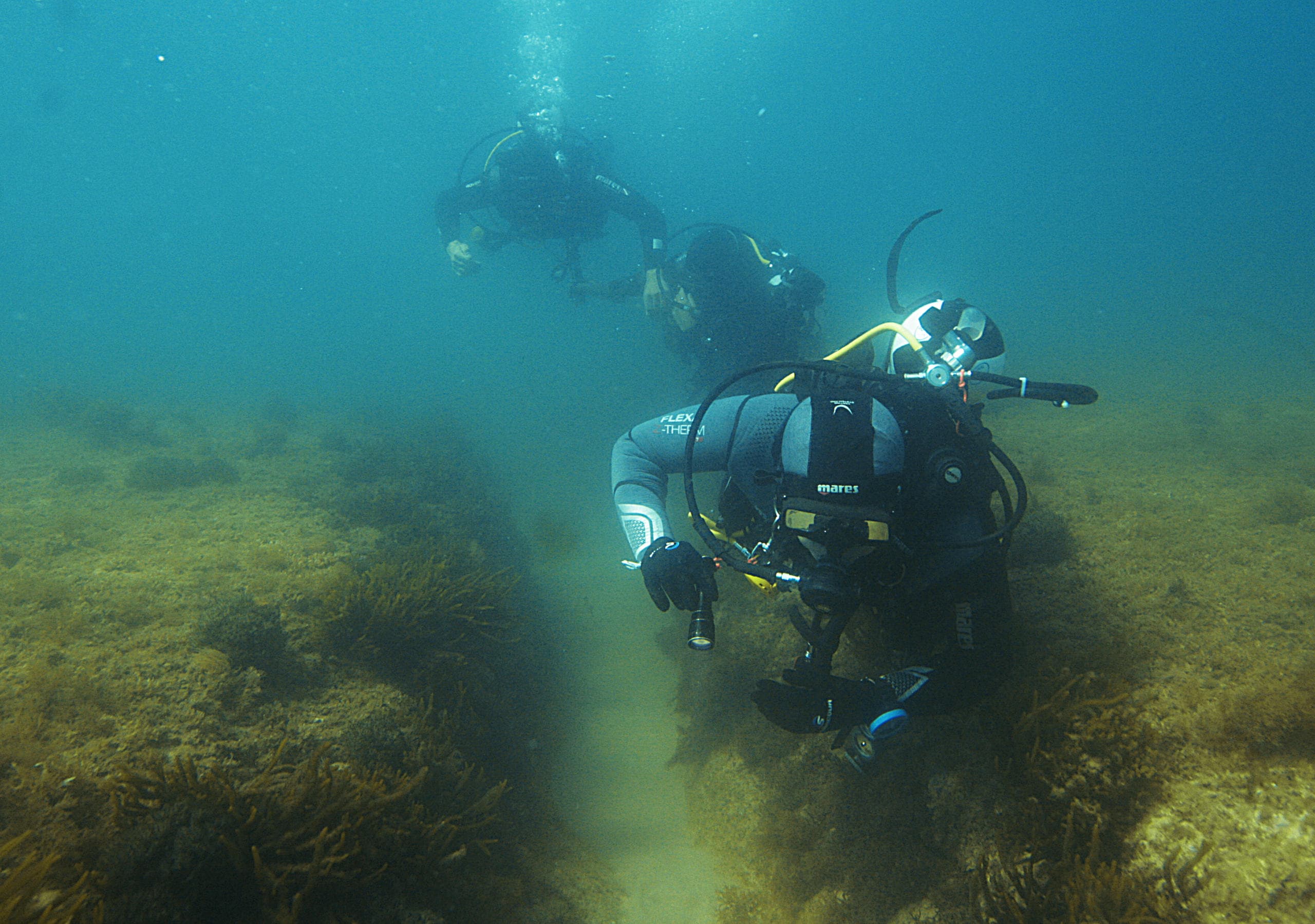 1 Dive