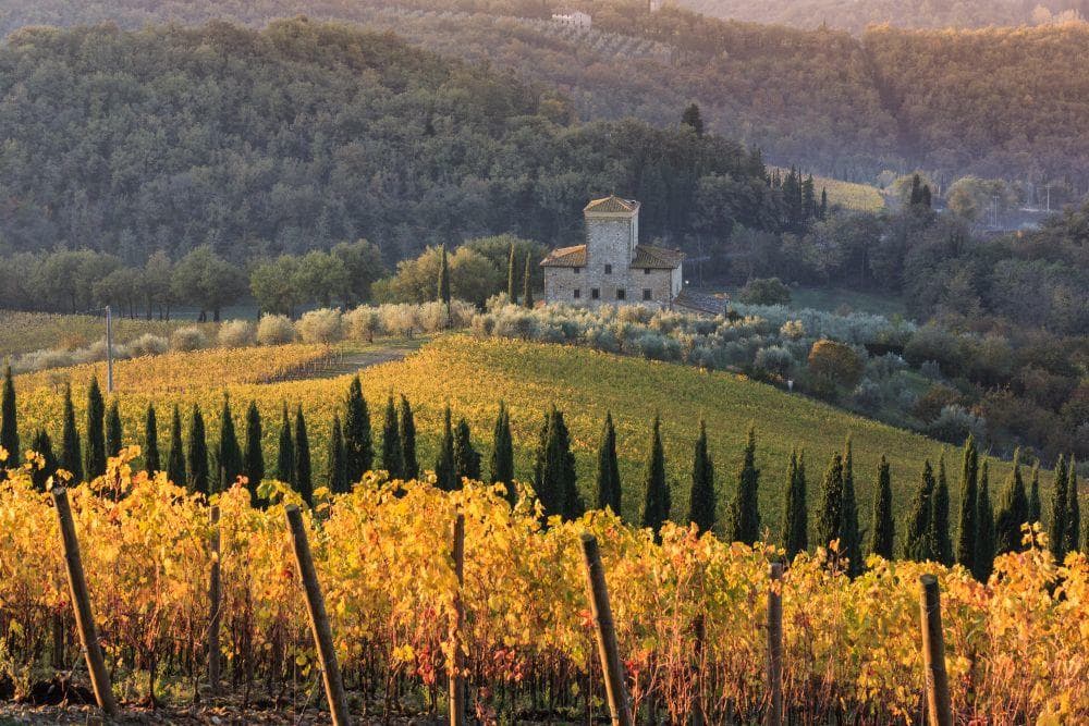 Private Chianti Wine Tour Experience and Florence Highlights