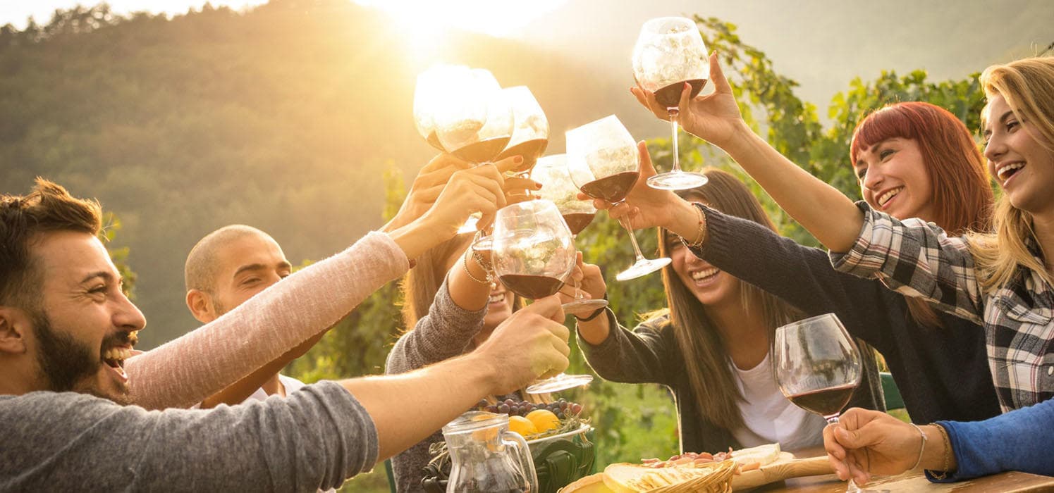 Wine Experience | Colli Bolognesi