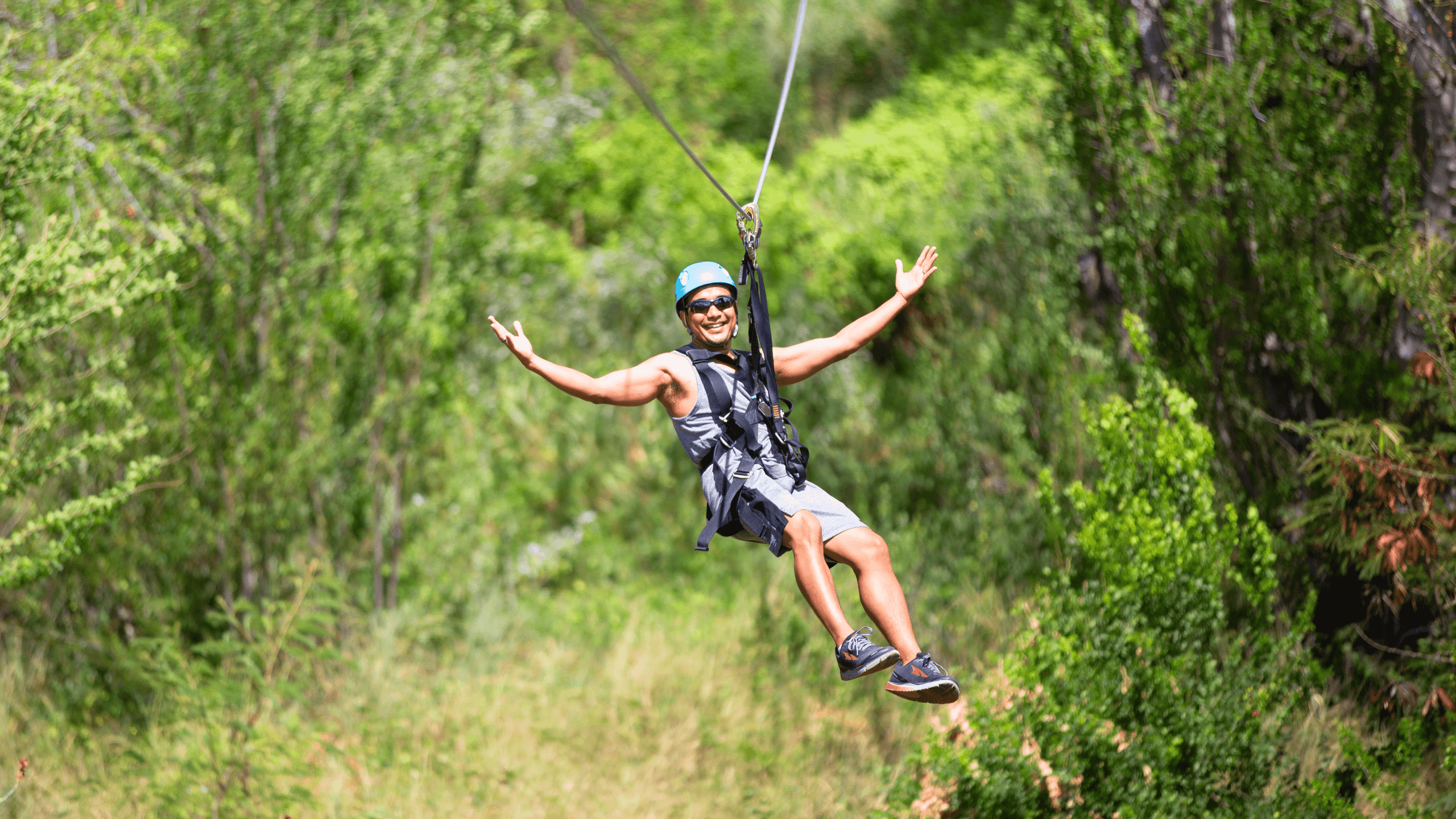 Zipline & Dolphin Watching Snorkel Adventure
