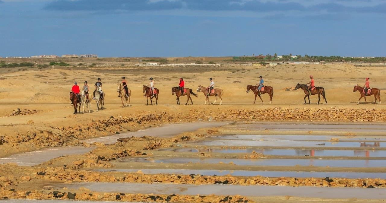 Private Horse Excursions Salt Flats Trail