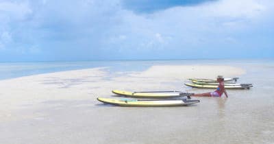 Eco Tour - Full Day Charter