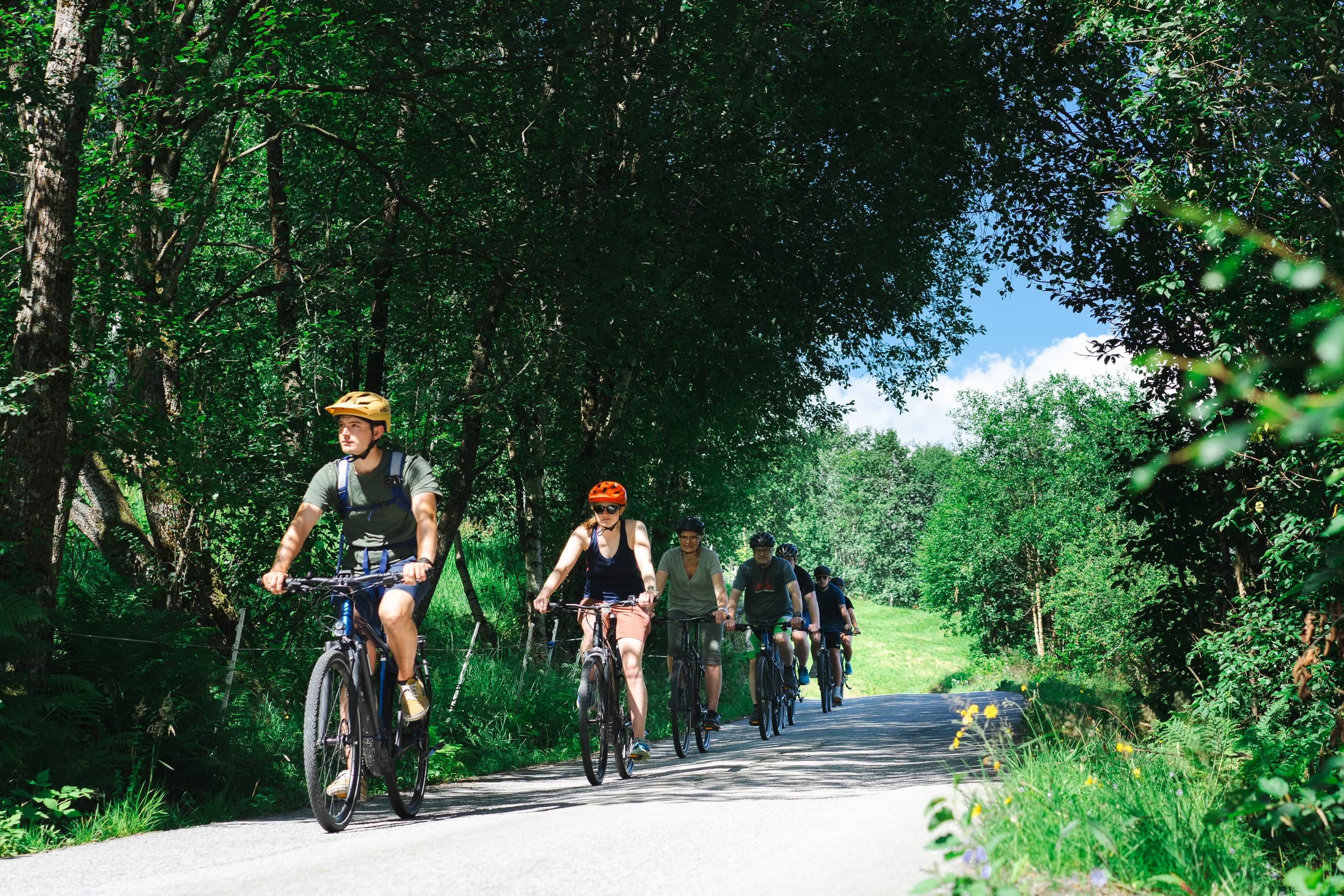 Olden: Guided e-bike tour