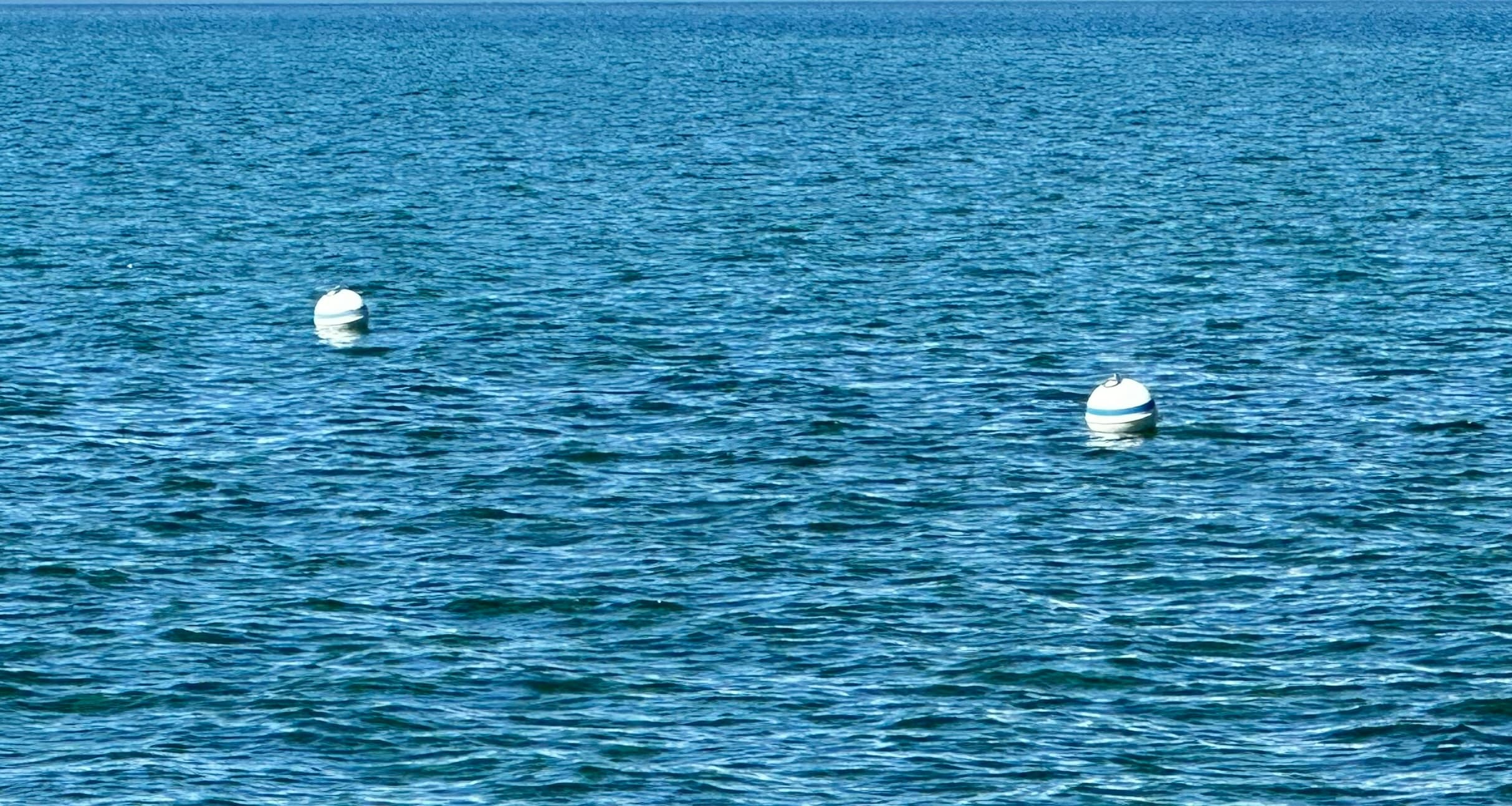 Mooring Buoy Rentals
