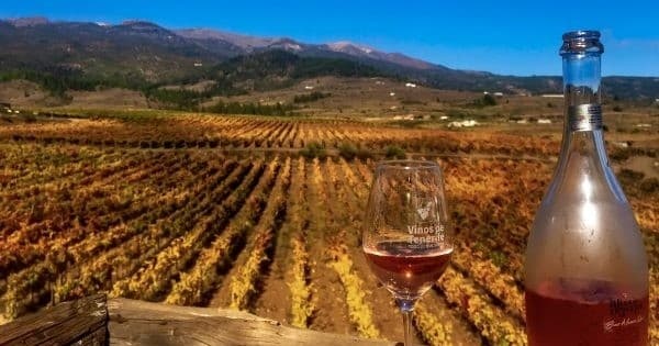 TENERIFE, Isla de vinos volcánicos singulares