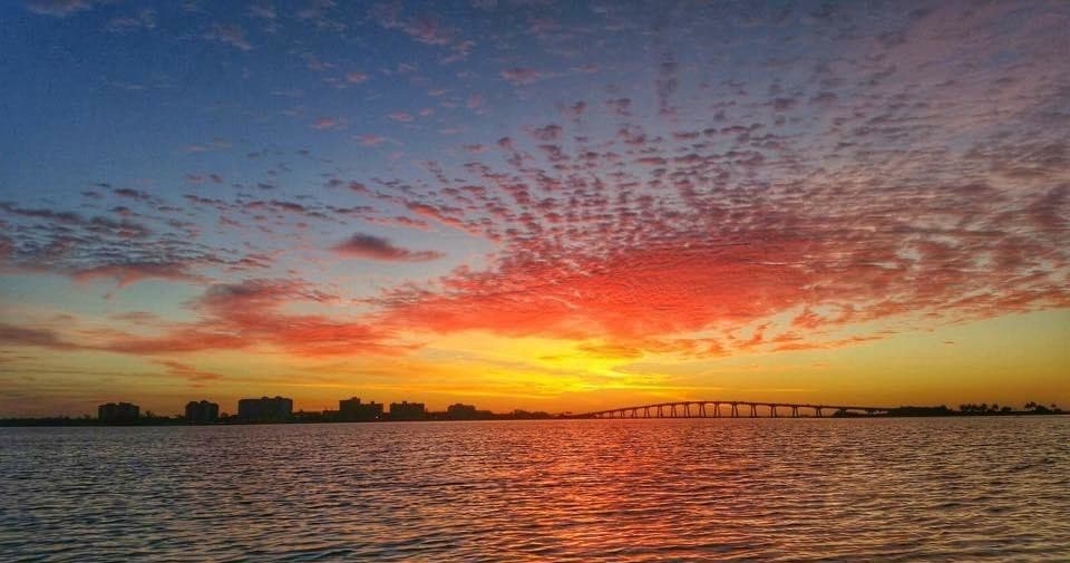 Sunset Dolphin & Wildlife Cruise | Fort Myers Beach