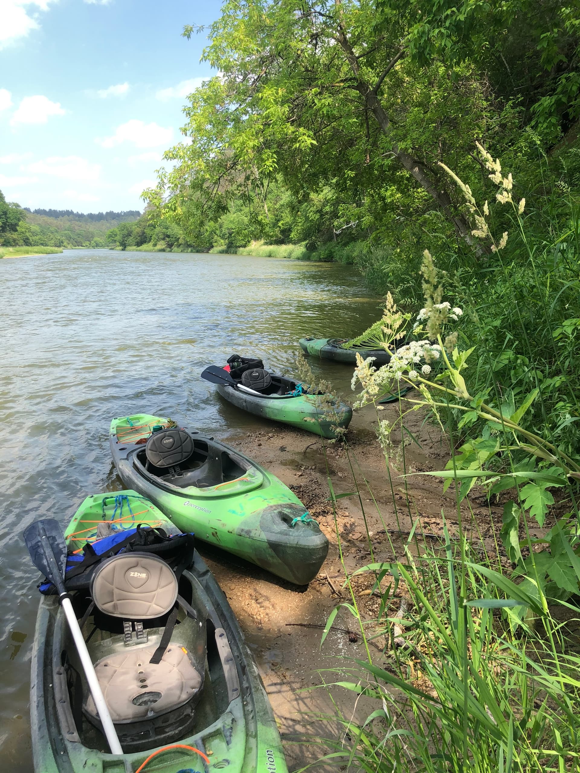 6 Hour Canoe or Kayak Trip