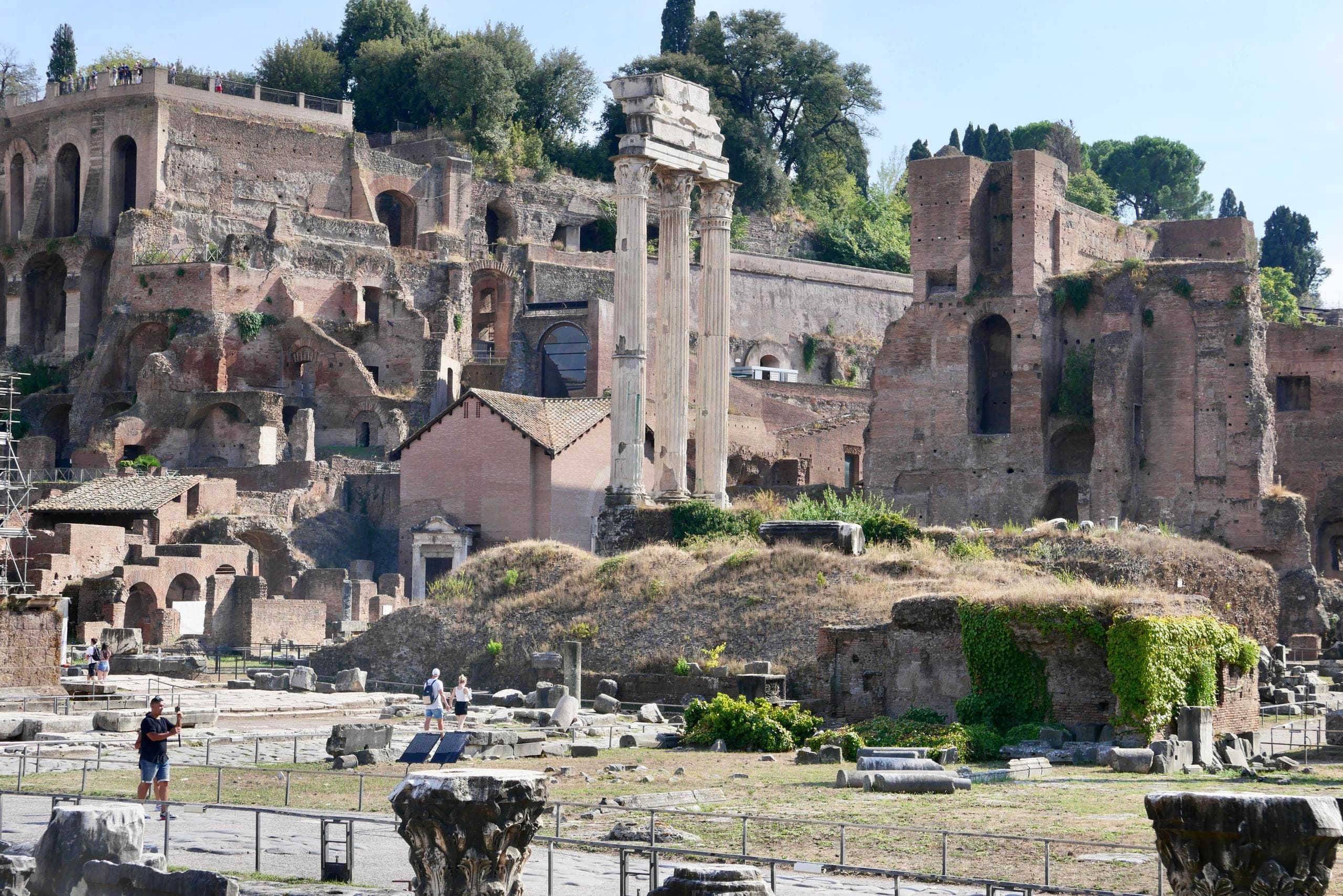 Guided Tour of Roman Forum, Palatine Hill and Circus Maximus
