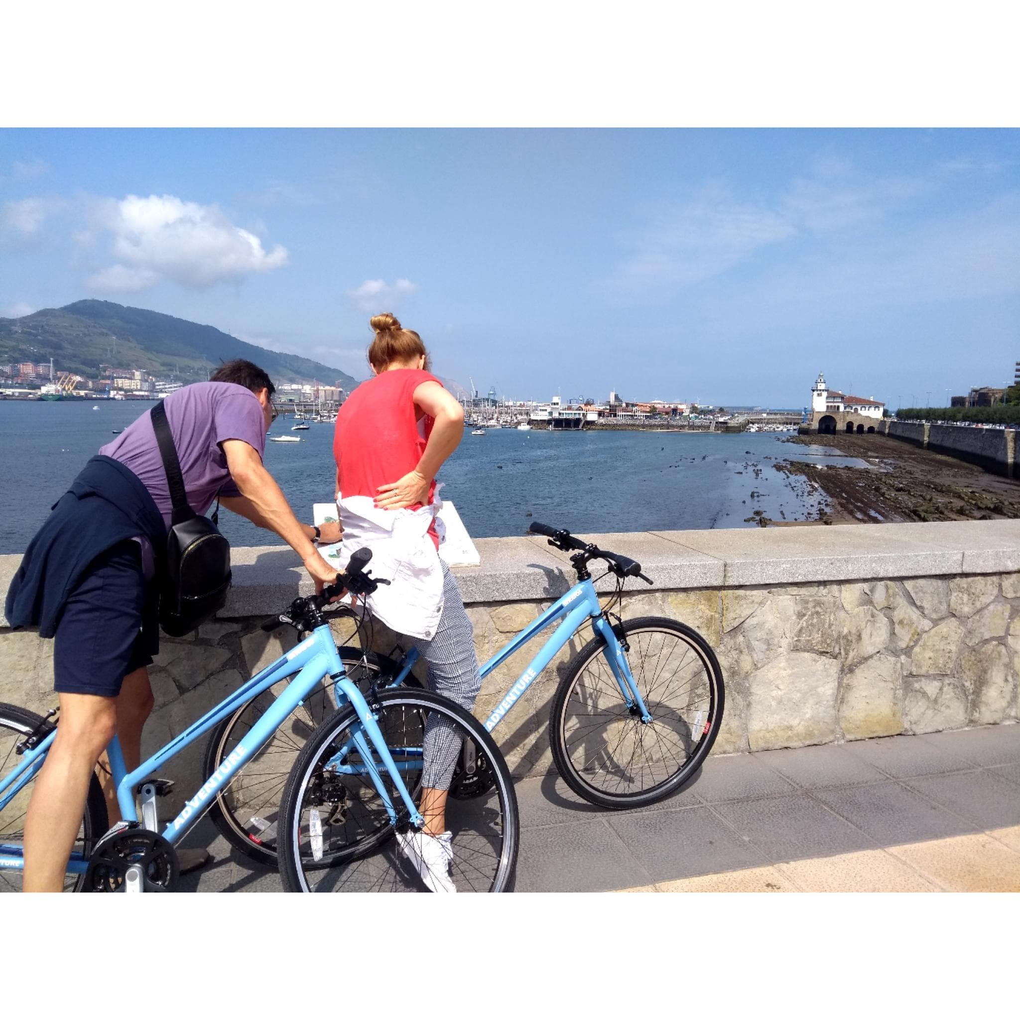 Bike Rental