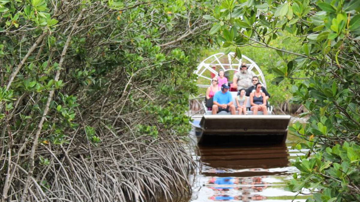 Private Airboat Tour