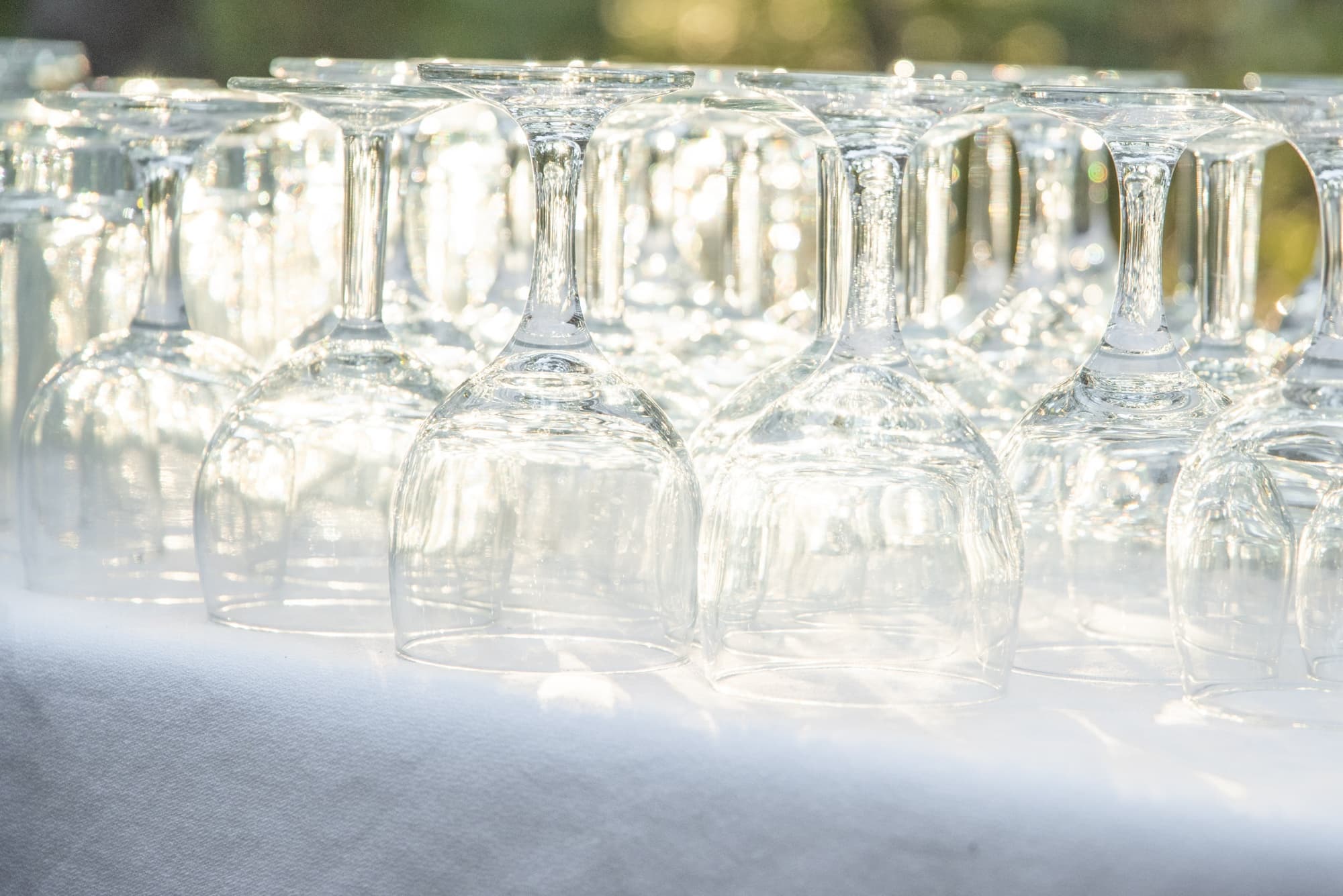 Wine by the River