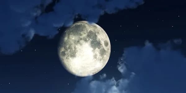 Tundra Tours; Night Hike 'N Stars 2.0