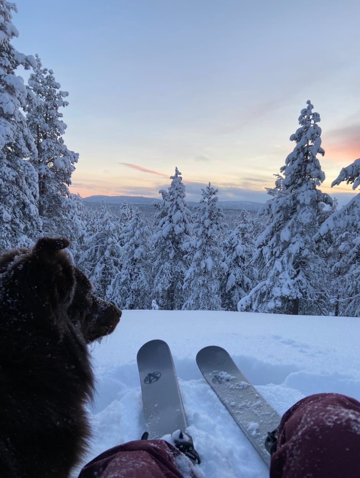 Sliding Snowshoe Hire (Liukulumikengät)