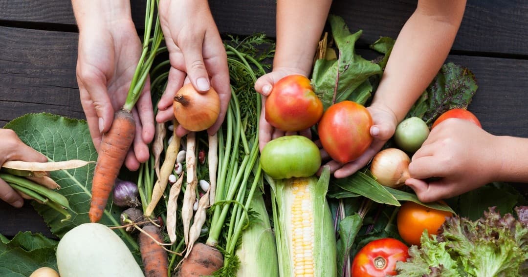 Organic Farm-to-Table Experience
