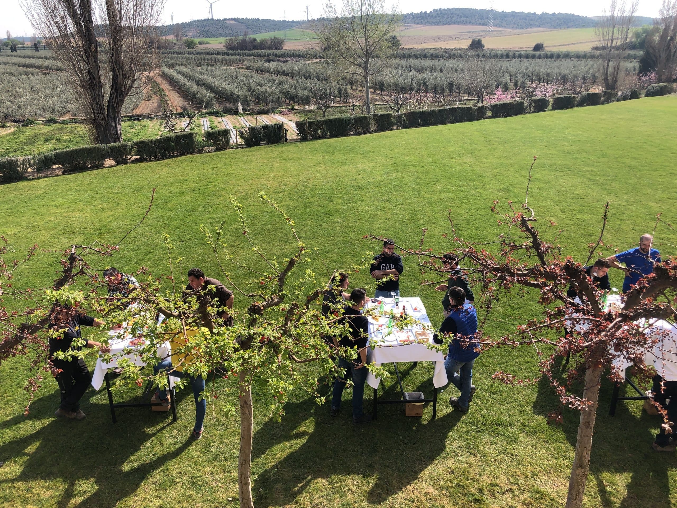 Picnic entre Olivos